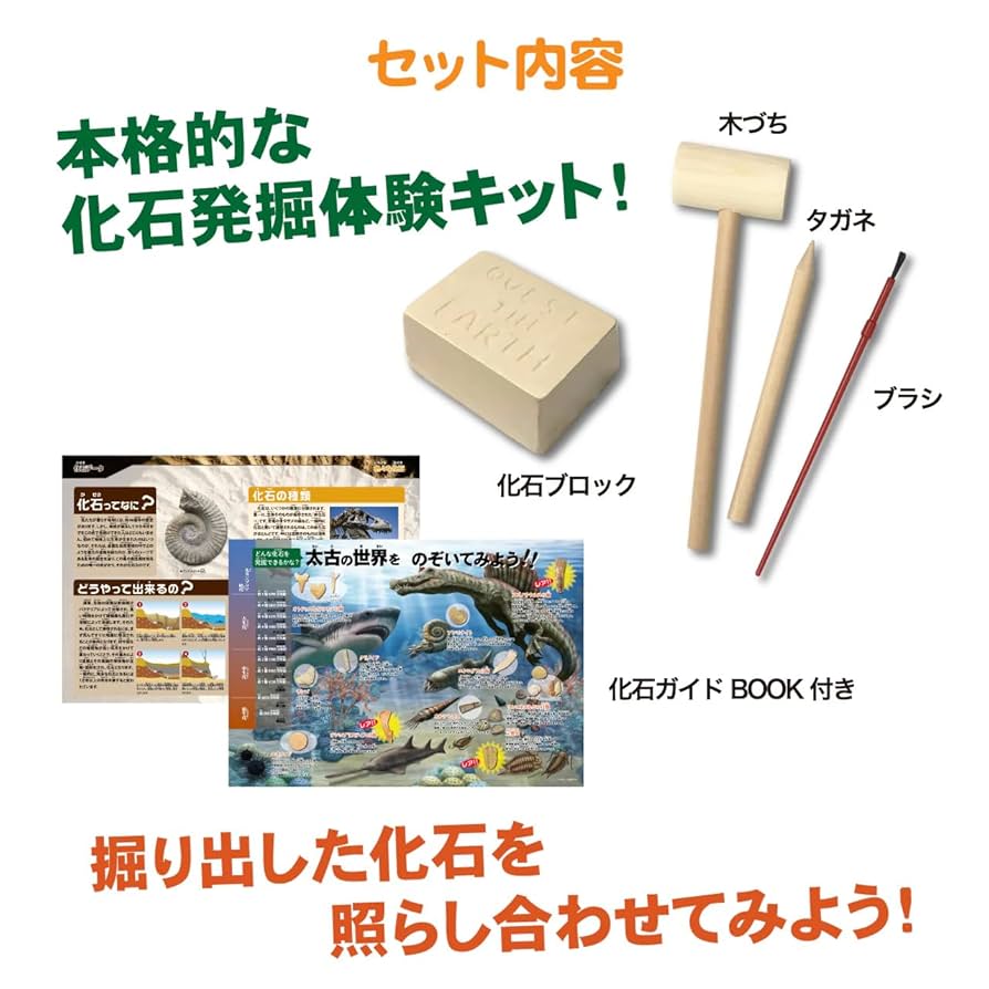 石割り体験キット 化石採掘体験に挑戦してみよう「自分で出来る化石発掘体験セット